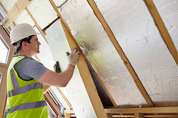 Best Attic Insulation Installation  in Lake City, MN